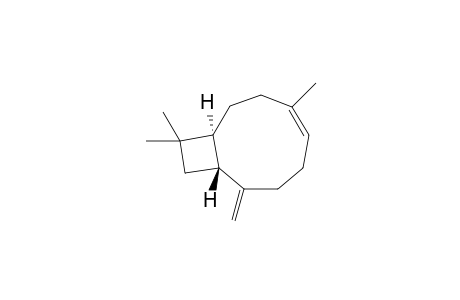 Z-Caryophyllene