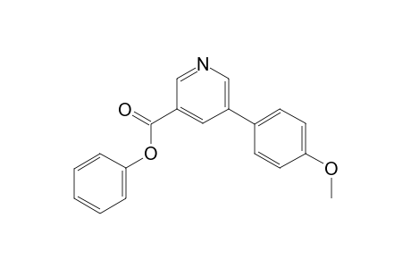 Phenyl 5-(4-methoxyphenyl)nicotinate