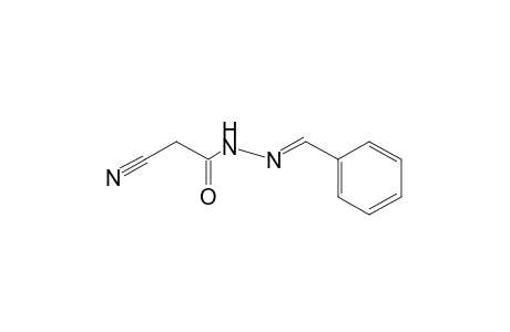 cyanoacetic acid, benzylidenehydrazide