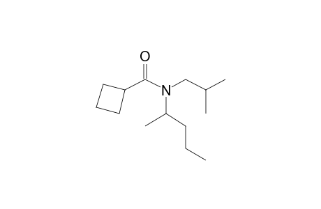 Cyclobutanecarboxamide, N-(2-pentyl)-N-isobutyl-