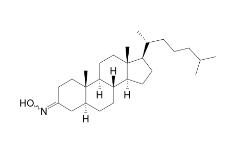 5α-Cholestan-3-one oxime