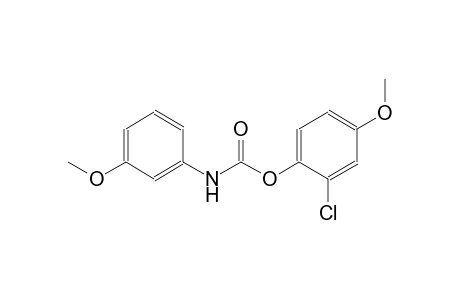 m-methoxycarbanilic acid, 2-chloro-4-methoxyphenyl ester