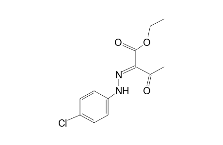 2,3-Dioxobutyric acid, ethyl ester, 2-(p-chlorophenyl)hydrazone