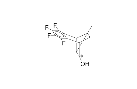 6-HYDROXY-1-METHYL-3,4-TETRAFLUOROBENZOTRICYCLO[3.2.1.0(2,7)]OCTEN-6-YL CATION