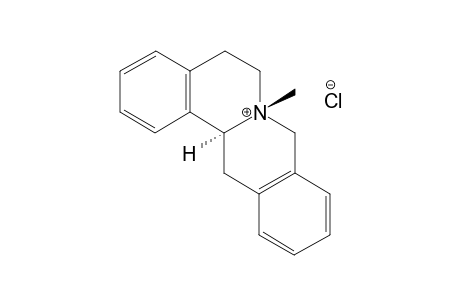 trans-N-METHYLTETRAHYDROPROTOBERBERINE CHLORIDE