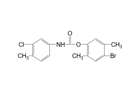 3-chloro-4-methylcarbanilic acid, 4-bromo-2,5-xylyl ester