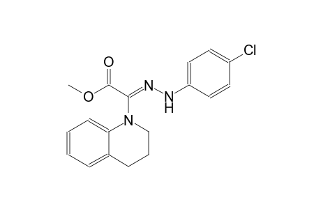 methyl (2Z)-[(4-chlorophenyl)hydrazono](3,4-dihydro-1(2H)-quinolinyl)ethanoate