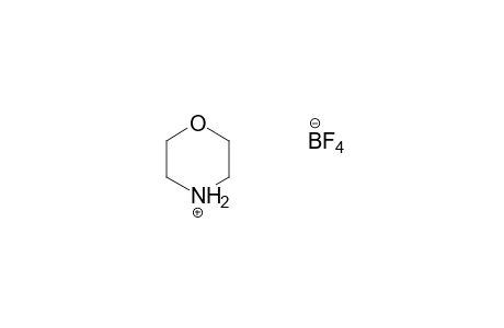 morpholine, hydrogen tetrafluoroborate(1-)