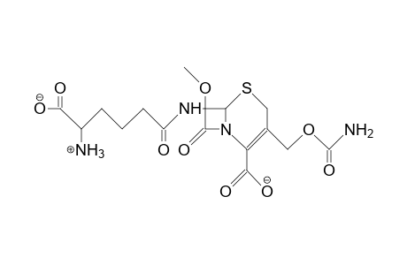 Cephamycin C anion