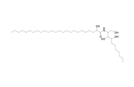 Cer 11:0;3O/25:0;(2OH)