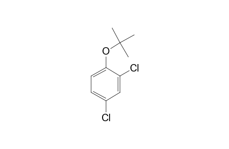 2,4-Dichlorophenol, tert.-butyl ether