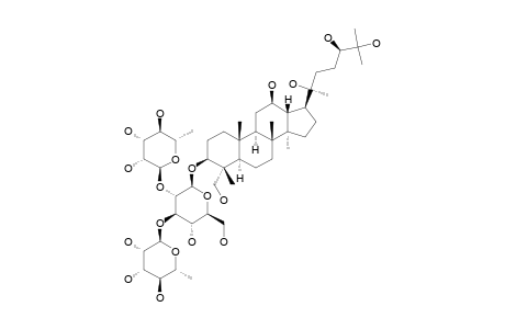 NEOALSOSIDE_J1