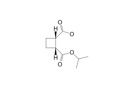 (1S,2R)-Cis2-(2-isopropoxycarbonyl)cyclobutane-1-carboxylic acid