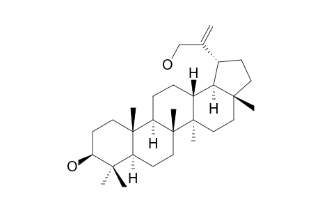 3-BETA-HYDROXY-20(29)-EN-LUPAN-30-OL