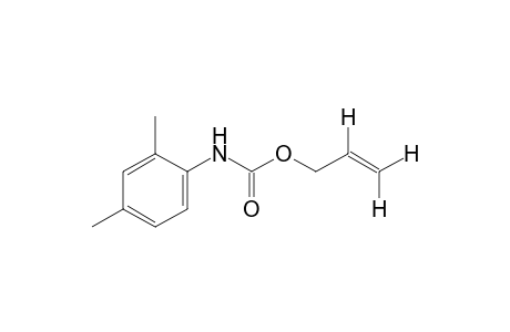 2,4-dimethylcarbanilic acid, allyl ester