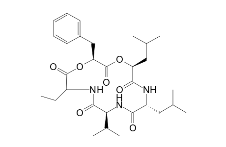 (S)-Dihydroxyphomalide [cyclo(Val-(S)-Abu-Hpp-Hmp-(R)-Leu)]