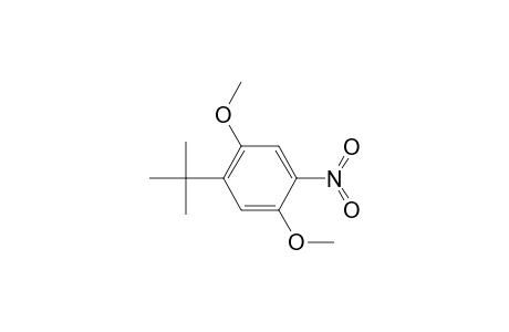 1-Tert-butyl-2,5-dimethoxy-4-nitrobenzene