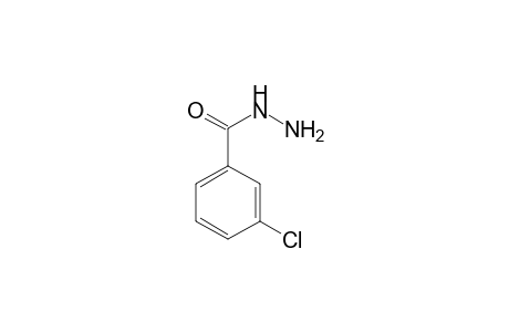 3-Chlorobenzohydrazide