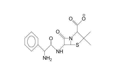 (.alpha.-Amino-benzyl)-penicillin anion