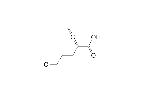 2-(3-Chloropropyl)-2,3-butadienoic Acid