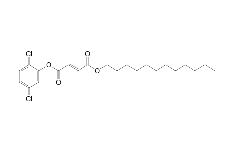 Fumaric acid, 2,5-dichlorophenyl dodecyl ester