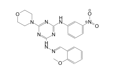 2-Morpholino-4-(3-nitrophenylamino)-6-(2-methoxybenzylidenehydrazino)-