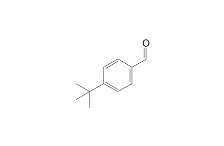 4-tert-Butylbenzaldehyde