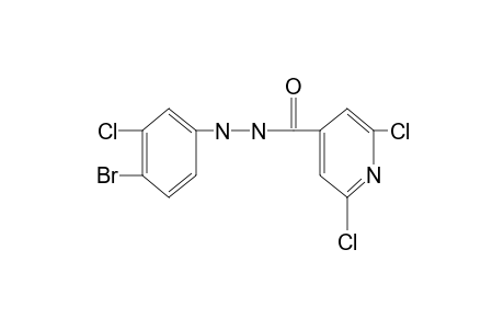 2,6-dichloroisonicotinic acid, 2-(4-bromo-3-chlorophenyl)hydrazide