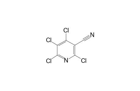 Tetrachloro-3-cyanopyridine