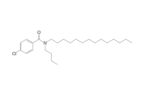 Benzamide, 4-chloro-N-butyl-N-tetradecyl-