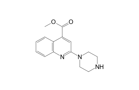 Methyl 2-(1-piperazinyl)-4-quinolinecarboxylate