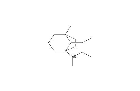 2,3,4,6-TETRAMETHYLTRICYCLO[4.3.2.0(1,5)]UNDEC-2-ENE PROTONATED