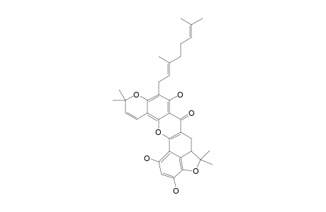 CYCLOARTELASTOXANTHONE;9-GERANYL-5,5A,6,11-TETRAHYDRO-1,3,8-TRIHYDROXY-5,5,11,11-TETRAMETHYLBENZOFURAN-[3.3A.4:AB]-PYRANO-[2'.3':J]-XANTHEN-7-ONE