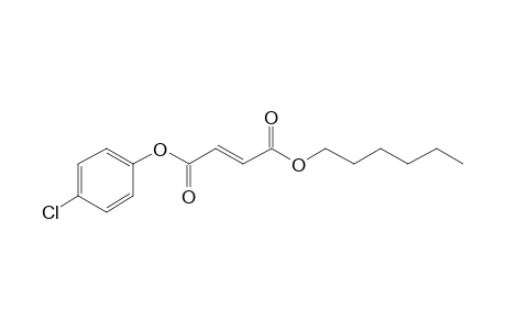 Fumaric acid, 4-chlorophenyl hexyl ester