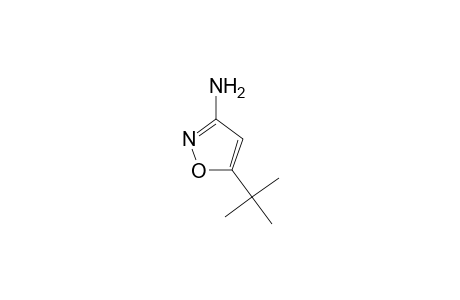 3-Amino-5-tert-butylisoxazole