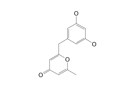 MACROCARPON_C