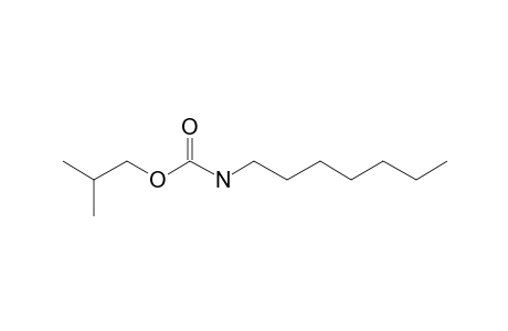 Carbonic acid, monoamide, N-heptyl-, isobutyl ester