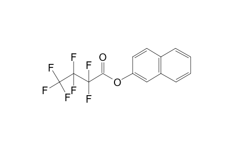 Heptafluorobutyric acid, 2-naphthyl ester