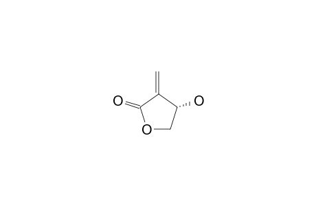 (+)-TULIPALIN-B