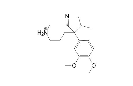 Verapamil-M (HO-) MS3_1