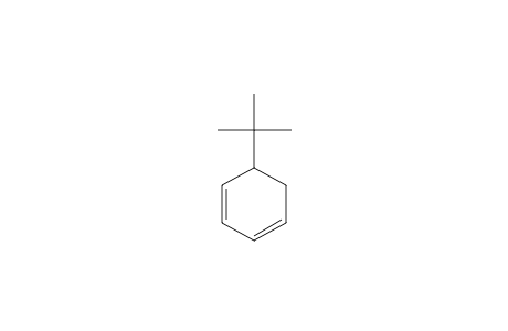 1,3-Cyclohexadiene, 5-(1,1-dimethylethyl)-