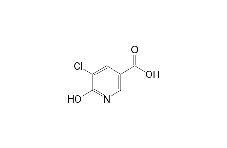 5-Chloro-6-hydroxy-nicotinic acid