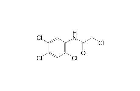 2,2',4',5'-tetrachloroacetanilide