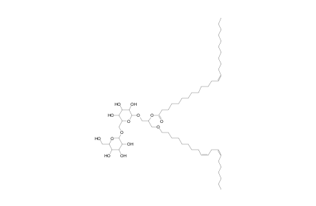 DGDG O-19:2_24:1