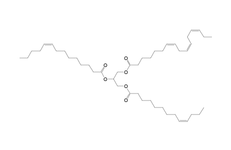 TG 13:1_14:1_16:3