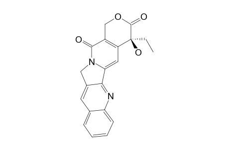 CAMPTOTHECINE