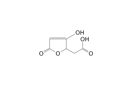 2,5-DIHYDRO-3-HYDROXY-5-OXO-2-FURANACETIC ACID