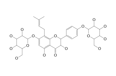 PHELLODENSIN_G