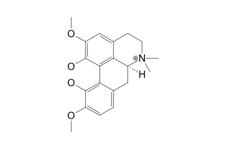 Magnoflorine