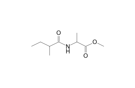 2-(2-Methylbutanoylamino)propionic acid methyl ester
